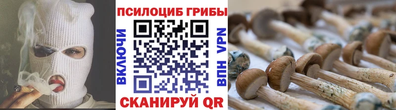 Псилоцибиновые грибы прущие грибы Карабаш